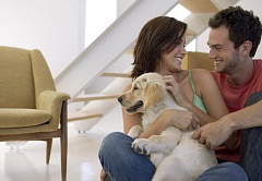 Прокрутить вверх