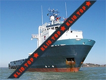 ЧП Вирго Марин - Virgo Marine лого