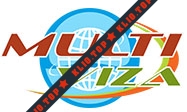 MultiViza лого