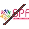 BPF Group лого