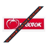 10 СОТОК (10sotok.com.ua) лого