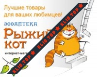 Рыжий Кот. Интернет-зоомагазин лого