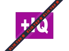 +IQ лого