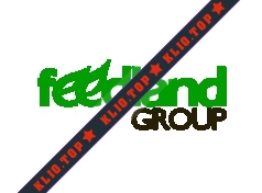 Фидлэнд Групп лого