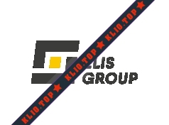 Элис-Групп лого