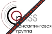 OptiSS Consulting Group лого