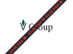 V Group лого